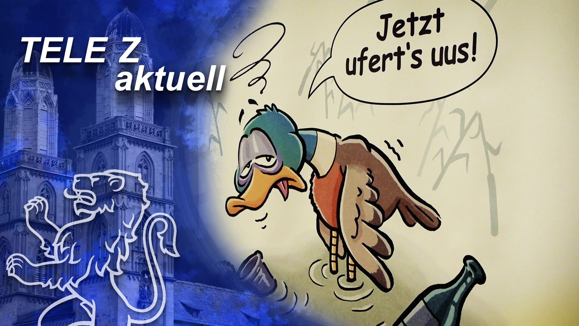 Tele Z - Aktuell Beitrag: Kanton Zürich: Uferweginitiative «Ufert Aus ...